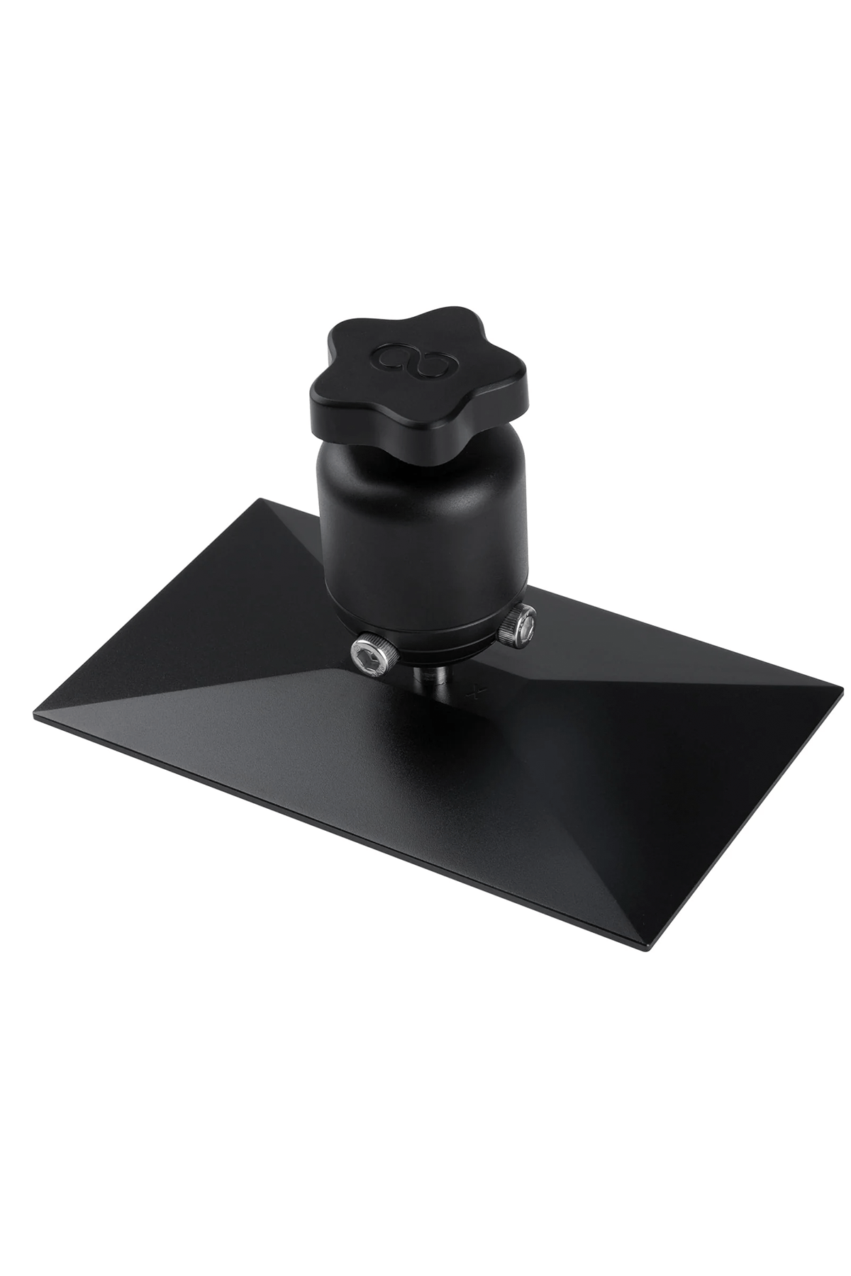 ELEGOO Build Plate - Mars 4