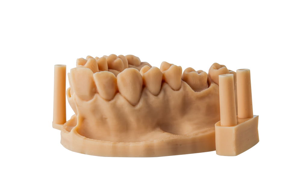 Alias Dental Model Pro