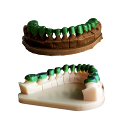 Creality LCD Dental Döküm Reçine 1000g - Transparan Yeşil